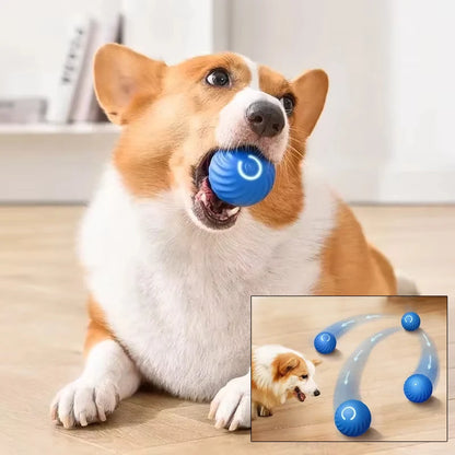 Honden Speeltje Interactief – Rollend & Automatisch
