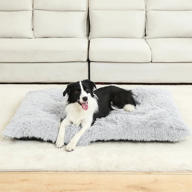 Blød hundeseng – Komfort og varme til din hund