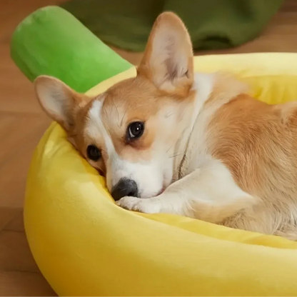 Banan Hundeseng – Komfort med et sjovt twist