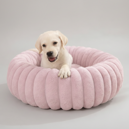 Hundebett Luxus – Bequem und stilvoll für Ihren Hund
