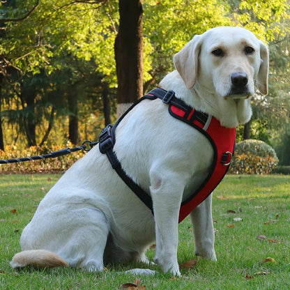 Sele med navneskilt – Sikker og stilfuld til din hund