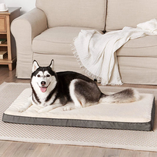 Ortopædisk hundeseng i memory foam – støttende, komfortabel og nem at rengøre