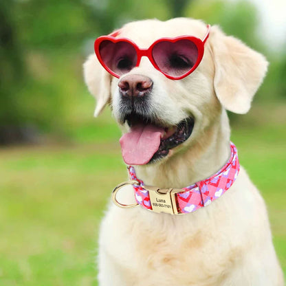 Vrolijke Gepersonaliseerde Nylon Halsband – Unieke Stijl voor je Hond