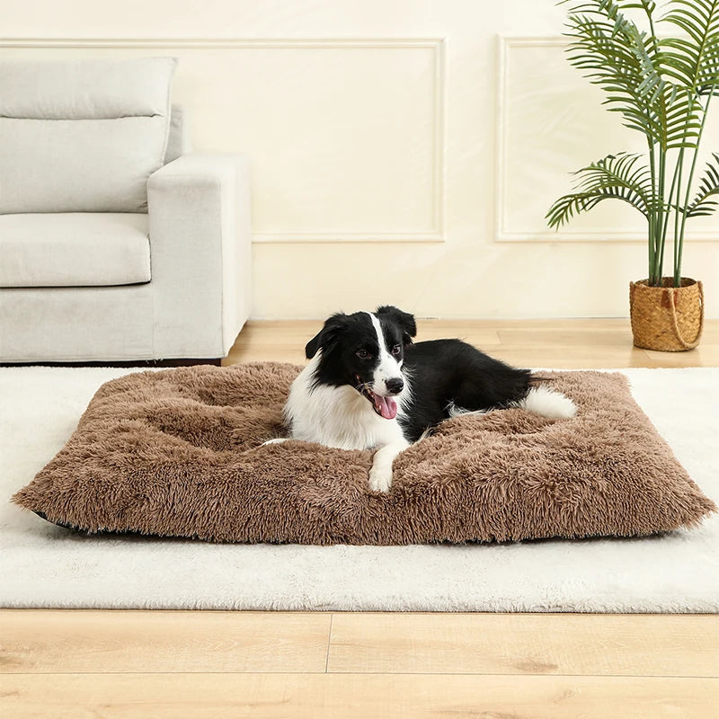 Blød hundeseng – Komfort og varme til din hund