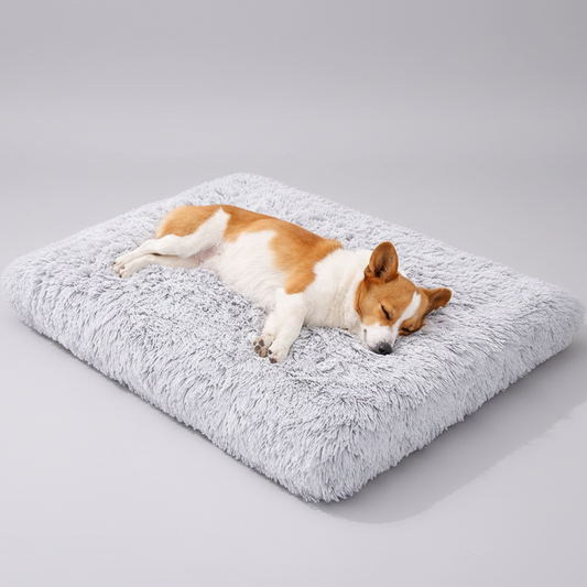 Hundebett Plüsch Anti-Rutsch – Weich, Bequem und Stabil
