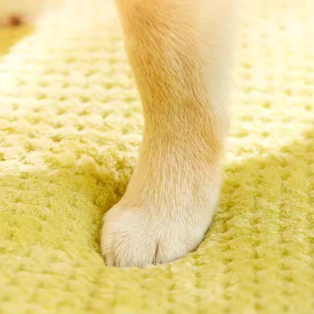 Varm og blød hundeseng – opvarmet komfort til din hund