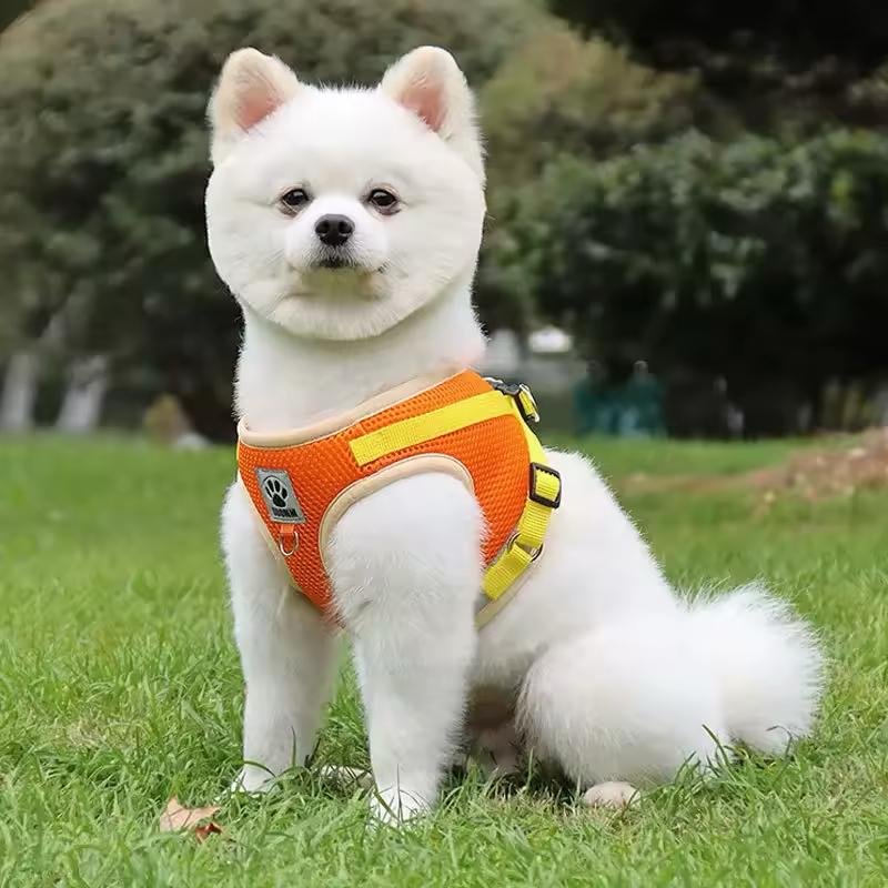 Farverig hundesele – Komfort og stil til din hund