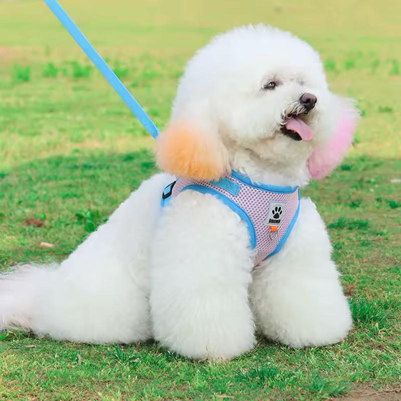 Farverig hundesele – Komfort og stil til din hund