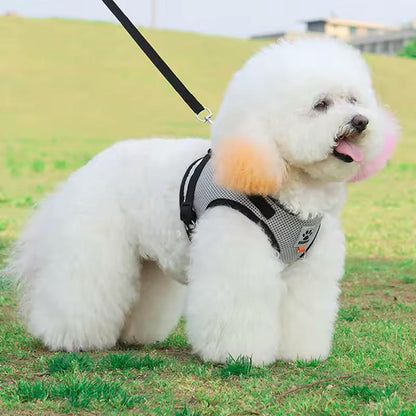 Farverig hundesele – Komfort og stil til din hund