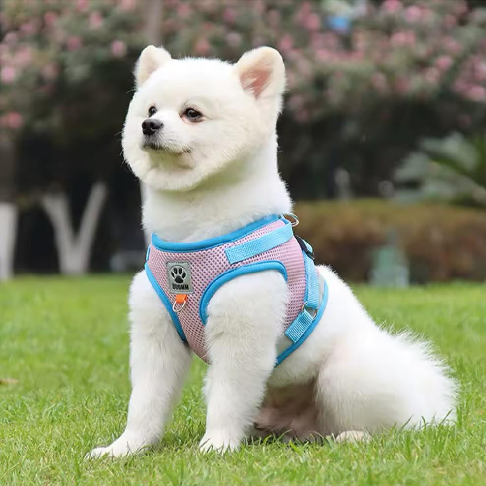 Farverig hundesele – Komfort og stil til din hund
