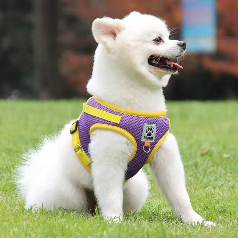 Farverig hundesele – Komfort og stil til din hund