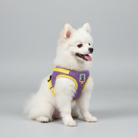 Hundegeschirr Bunt – Komfort & Stil