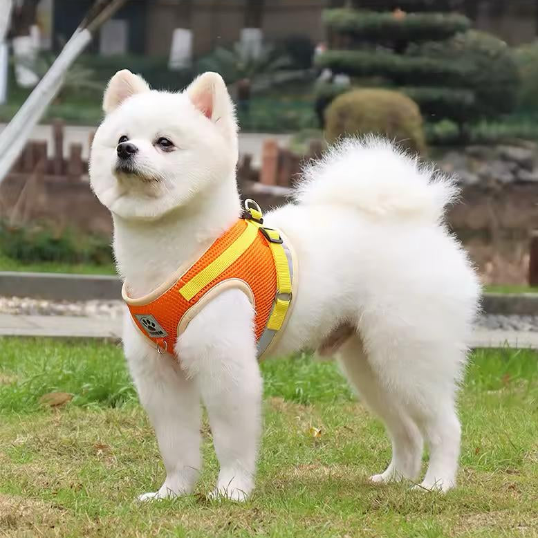 Farverig hundesele – Komfort og stil til din hund
