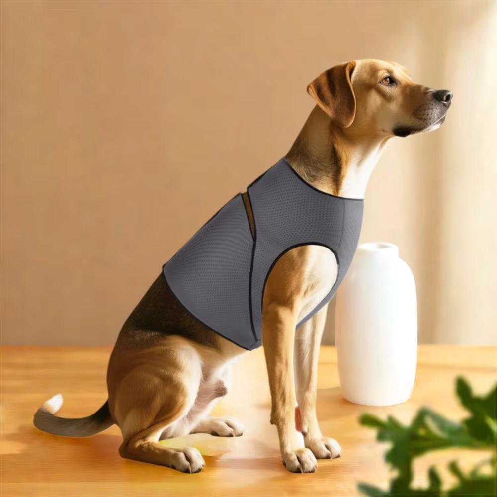 Honden Vest - Kalmerend, Comfortabel & Veilig