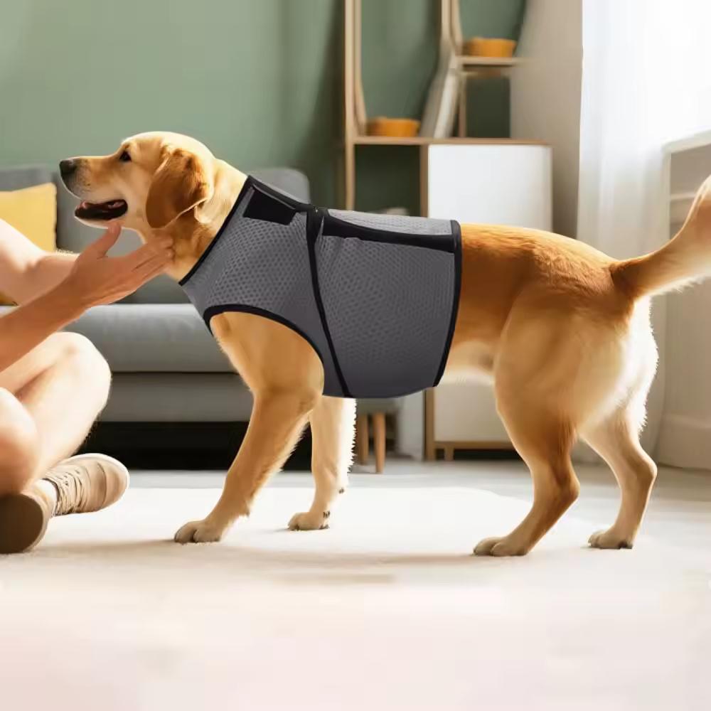 Honden Vest - Kalmerend, Comfortabel & Veilig