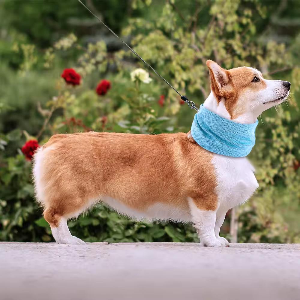 Honden Bandana - Koel, Zomers & Trendy