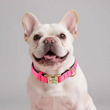 Hundehalsband Personalisiert Wasserdicht – Komfort & Sicherheit