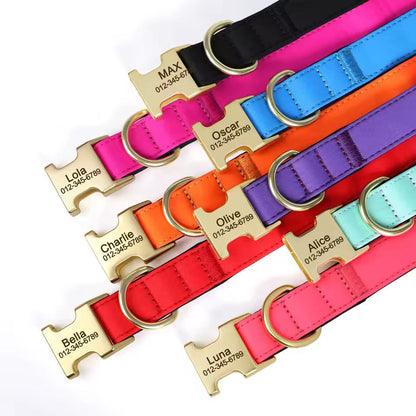 Hundehalsband Personalisiert Wasserdicht – Komfort & Sicherheit