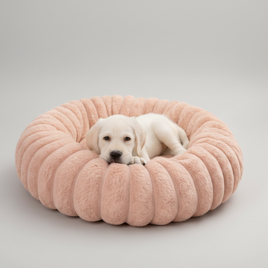 Hundebett Luxus – Bequem und stilvoll für Ihren Hund