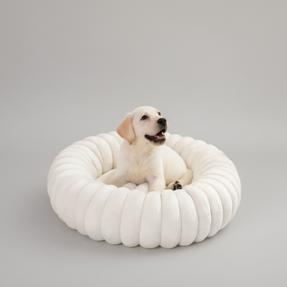 Hundebett Luxus – Bequem und stilvoll für Ihren Hund