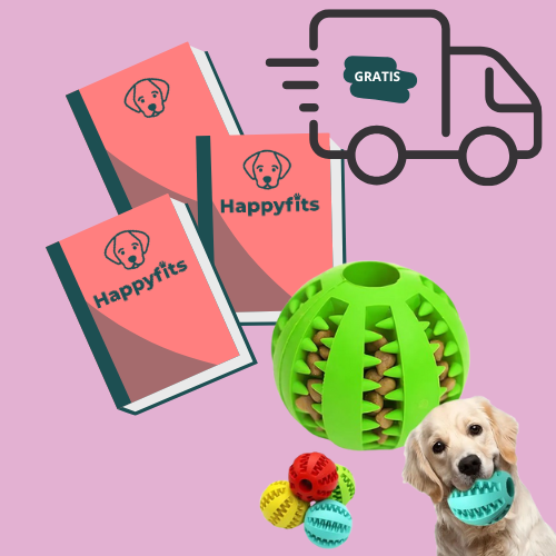 Eindeloos Snackspeelplezier + 3 ebooks + Gratis verzending