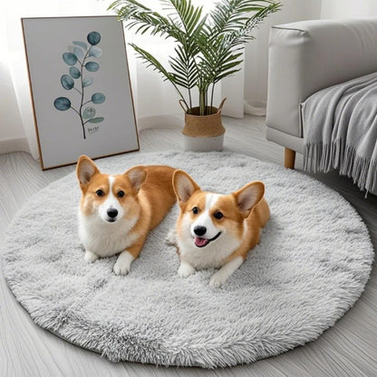 Runde, flauschige Plüschdecke – weich, warm und bequem für Ihren Hund