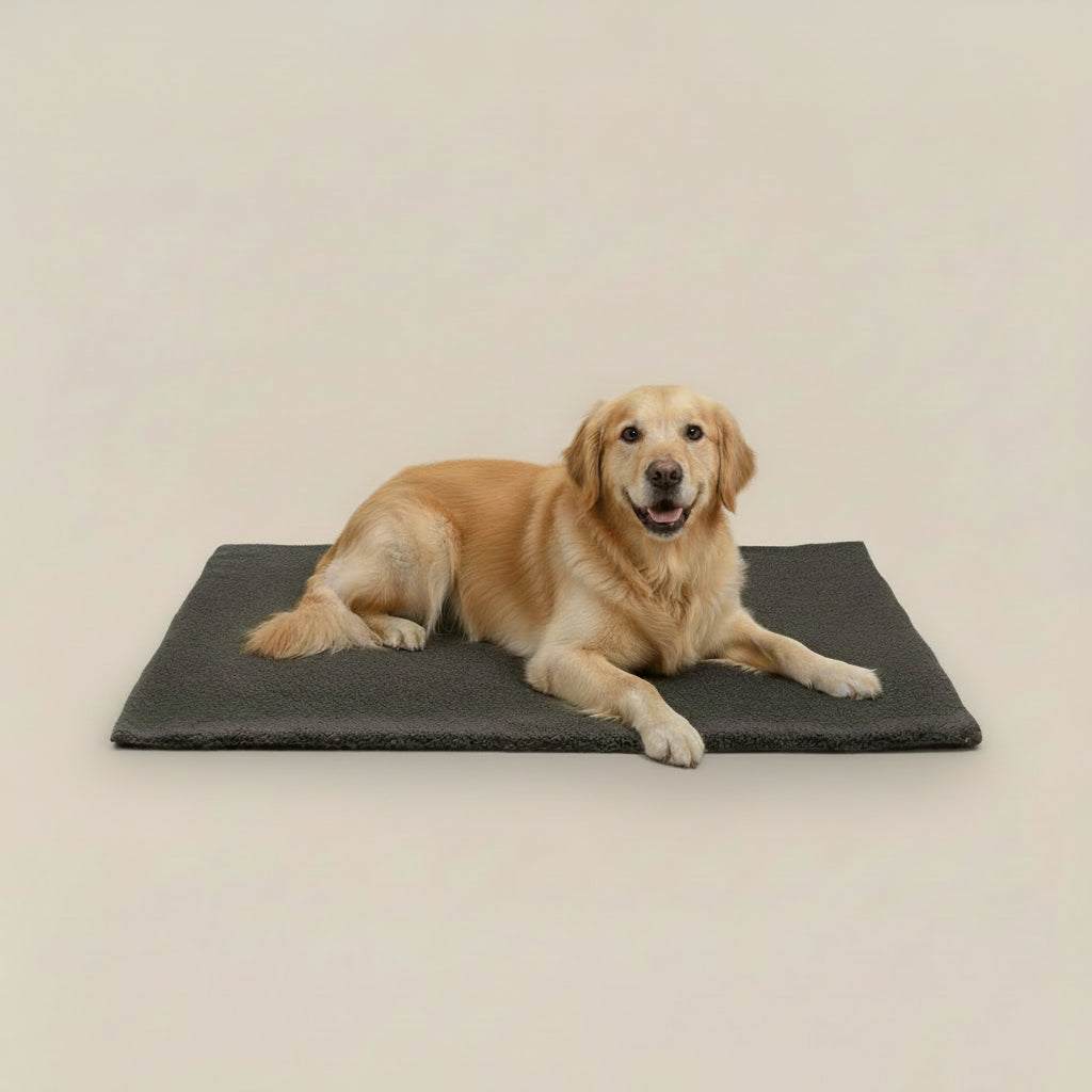 Honden Warmtemat – Zelfverwarmend en Extra Comfortabel