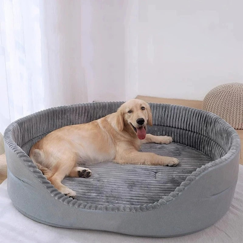 Hundebett Orthopädisch Luxus & Weich – Für den besten Schlaf