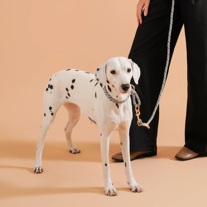 Håndfri hundesnor – Praktisk, stilfuld og alsidig til jeres fælles eventyr