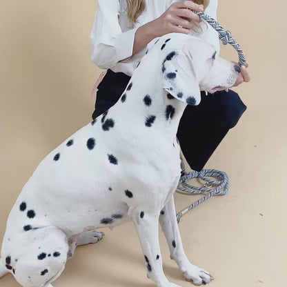 Håndfri hundesnor – Praktisk, stilfuld og alsidig til jeres fælles eventyr