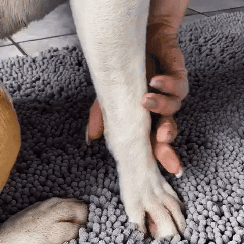 Honden Schoonloopmat – Absorberend en Sneldrogend | 1+1 GRATIS