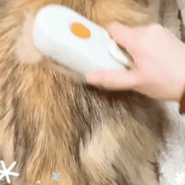 Dampfbürste für Hunde – Tiefenreinigung und Pflege in Einem